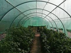 3x6 m Greenhouse Polytunnel 18 sqm, galvanized pipe