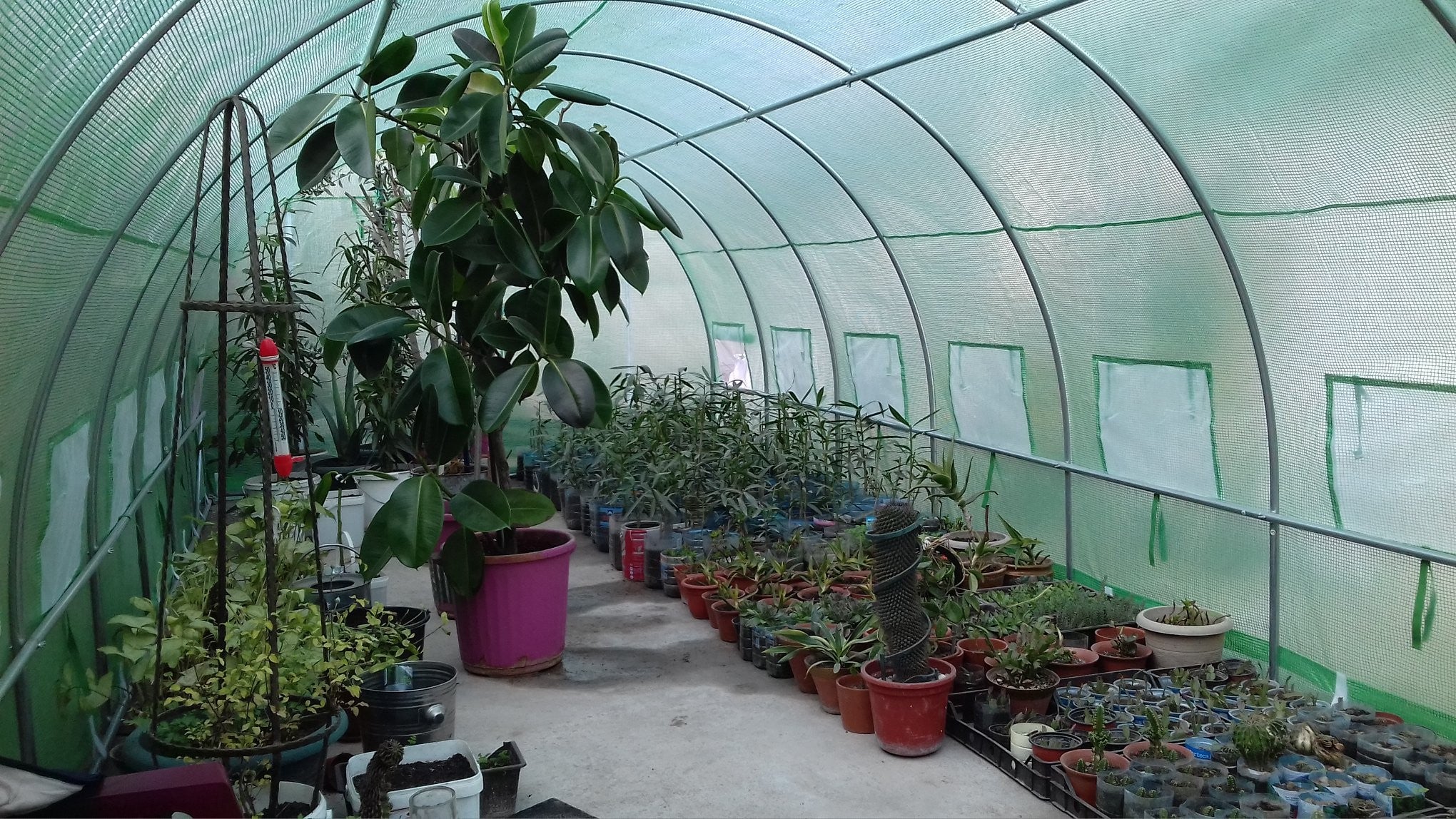 3x9m Greenhouse Polytunnel 27 sqm, galvanized pipe