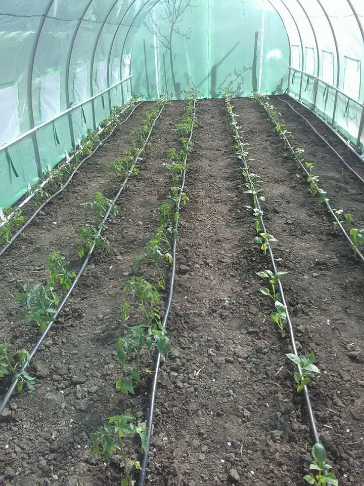 3x9m Greenhouse Polytunnel 27 sqm, galvanized pipe