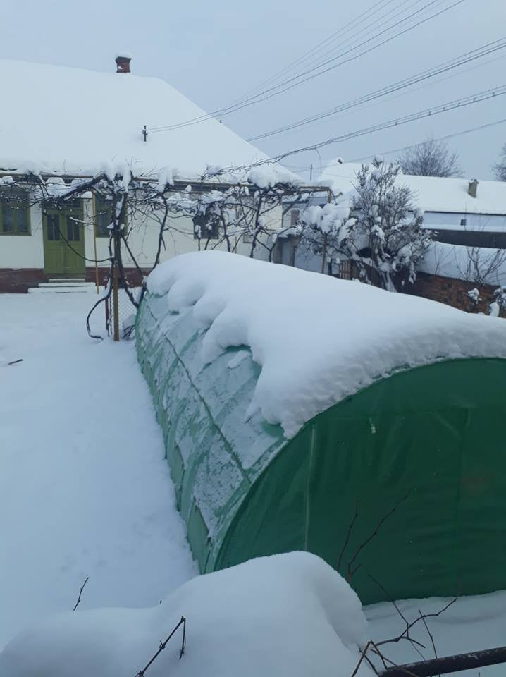 4x14 m Greenhouse Polytunnel 56 sqm, galvanized pipe